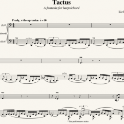 Liz Lane: Tactus - a Fantasia for Harpsichord (2010)